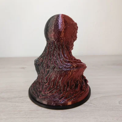 Busto Vecna Bicolore in Silk V1 – Stranger Things